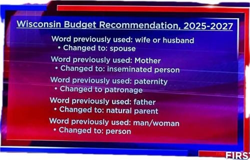 FB_IMG_1740494476314