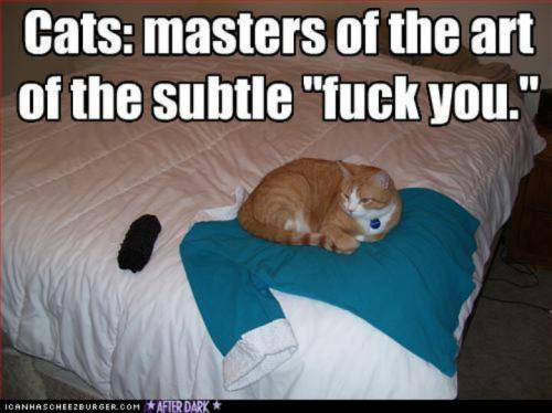 b378e812f86ce0efc6430488f7c2341c