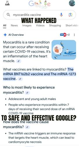ZomboMeme 22012025064906