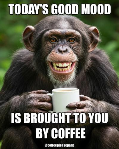 FB_IMG_1739414752326