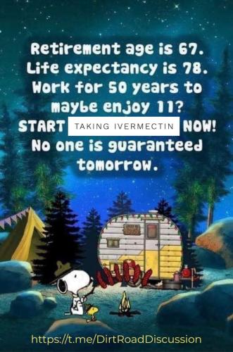 IMG_20250222_231531_253