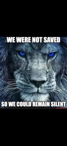 Screenshot_20250202_181522_Gallery