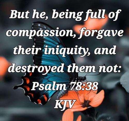 18f97f1e-e9d0-4fc0-b775-ab195f43c9b1