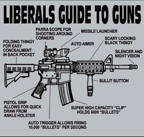 Liberals guide to guns