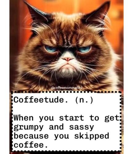 480922139_481960361653844_590209217563391490_n