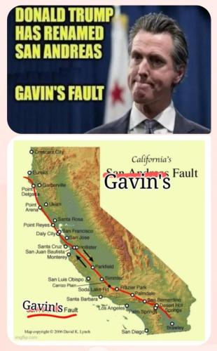 image_7FDC6386-1D05-46EA-A1F6-2CF789B374C6