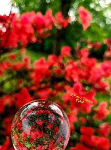 Screenshot_20250227_065154_Gallery