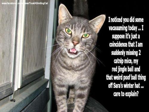 9bcd2252eebb83e0dec5a25baffb1d21