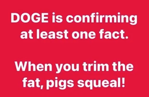 image_2025-02-17_074939158