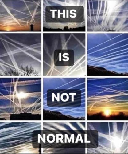 photo_2025-02-17_21-32-12