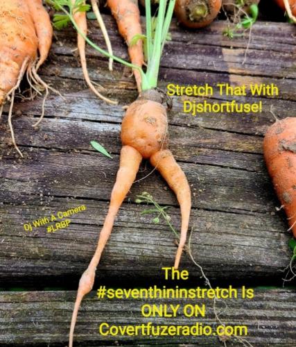 Screenshot_20250211_065947_Gallery