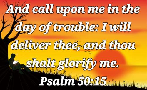 9276454b-2e5a-4a16-958e-e312dc37bcd2