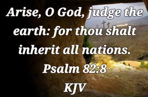 0695314d-831f-4272-a0e8-7f7643bd0382