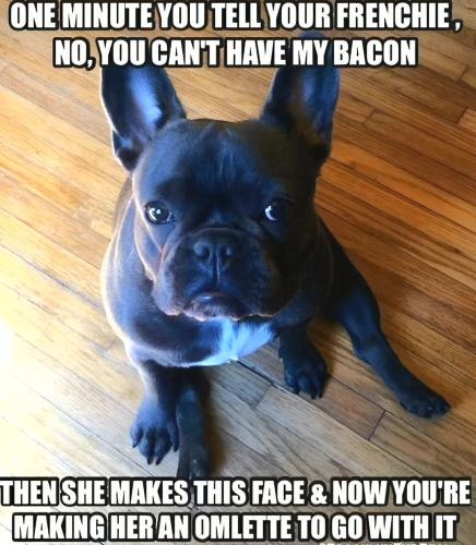 FB_IMG_1738708933354