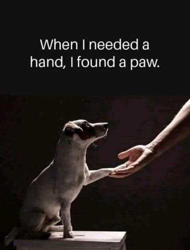 FB_IMG_1738710044754