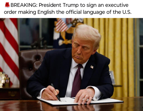 Screenshot_20250228-102035