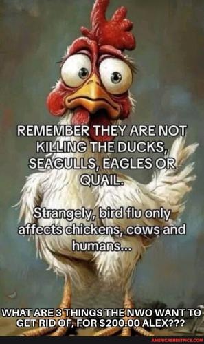 2282dc9327d7df65d13a89c5ecea1639b9270e3aad0e3095e7d44c2615bacd4c_1