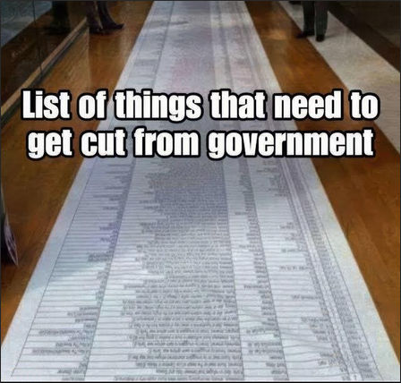 government efficiency46