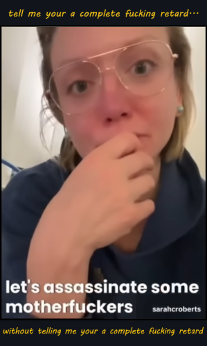 sarah c roberts_retard threatening elon
