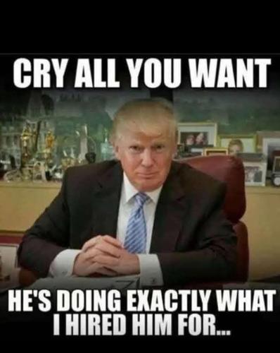 FB_IMG_1740677875118