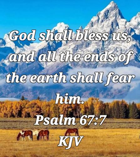 d7339431-1806-4095-91e0-e69103aa2efe