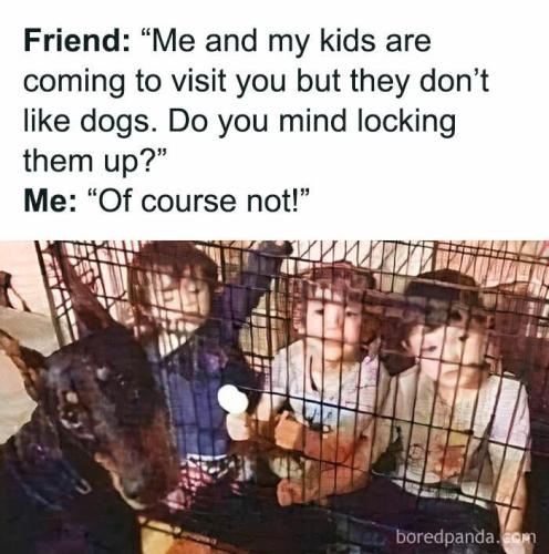 FB_IMG_1740596242802