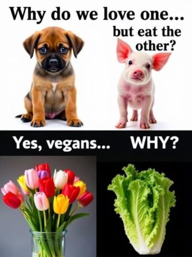 fb-476888873_938846828404393_2545401396290346302_n