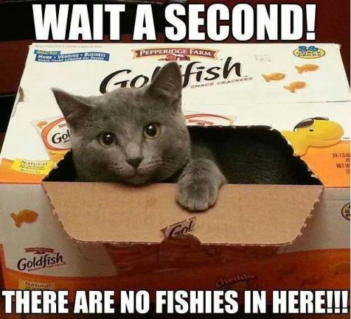 ac318962b0a66d4ded4f6e60390a8501