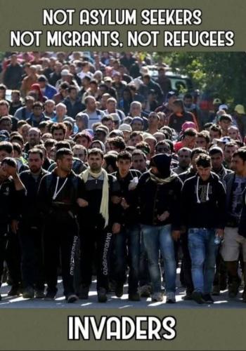 IMG_20250212_151633_787