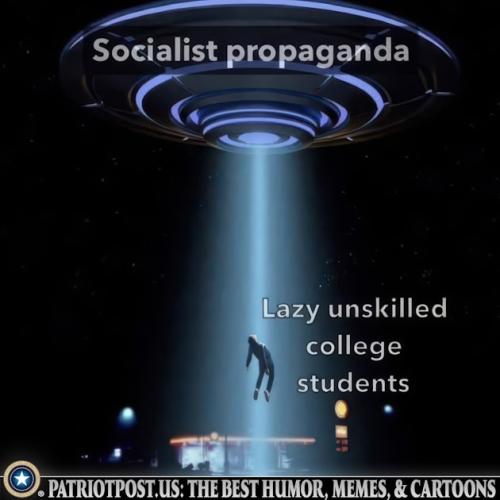 01JN330XEBAGKPVZK6TP8AN3ZC