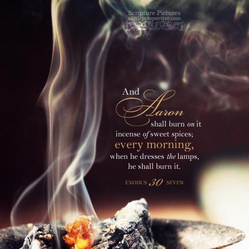 exo-30-7-JPS-unsplash