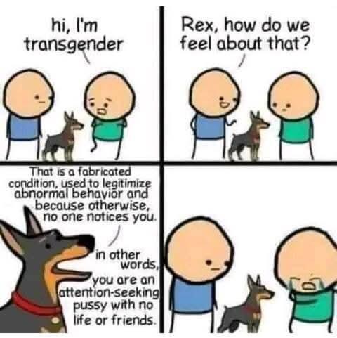 image_5F9BDAC2-FBE3-4F90-BAC4-023F18BAC27C