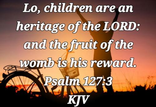 b00694fd-7769-4961-aa36-8a197d2b5e43