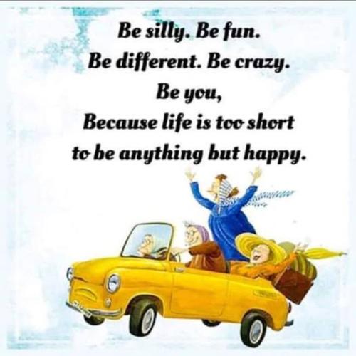 480308858_2412481412438814_4513050008746103461_n