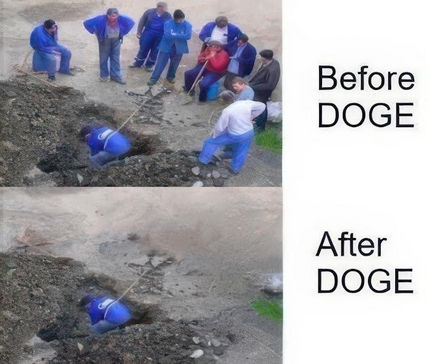 government efficiency47