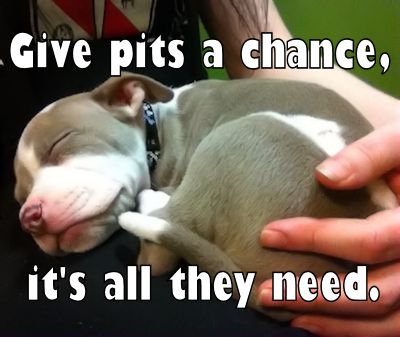 31a79556515a59aea9c050f3b7167d17