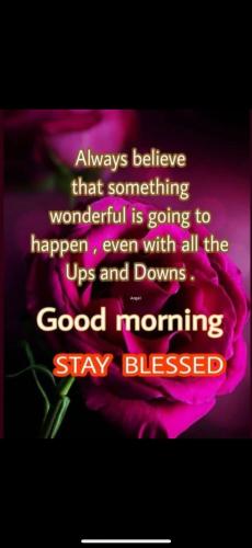 480851357_2055099998343301_1998286530023787784_n