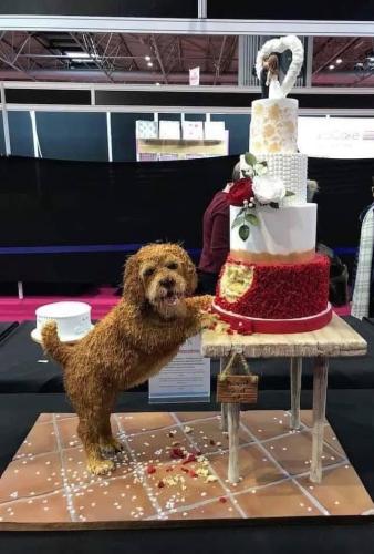 CAF88D99-2C7B-4482-9034-27A7ACA7AC83