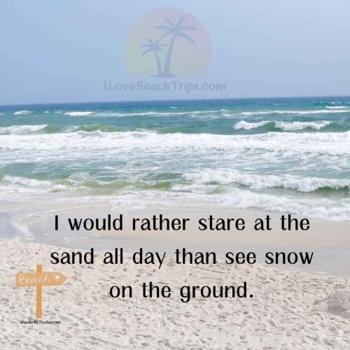 FB_IMG_1740261283221