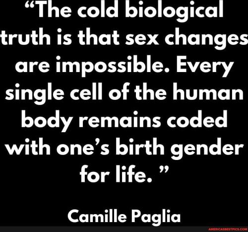 6878cf6853ccf99332f1c107b8f899b2a713adc008c5f50bcc205ee614e93bd5_1