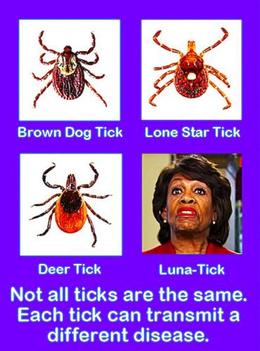 476484445_122223716306022525_7263599666610719822_n