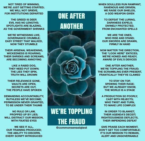 IMG_20250208_113113_864