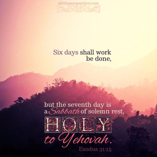 exo-31-15-JPS-pexels-9x