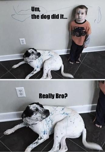 FB_IMG_1739313986472