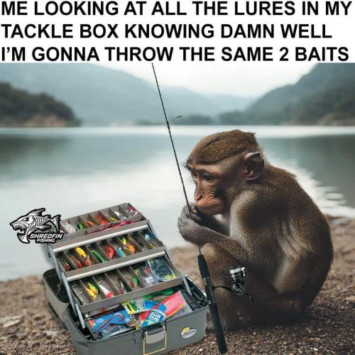 56D5DA8C-D740-4F46-B18C-BB68ACECB126