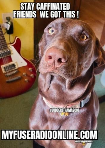 Screenshot_20250215_062440_Gallery