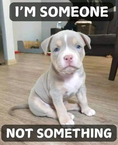 FB_IMG_1739641338023