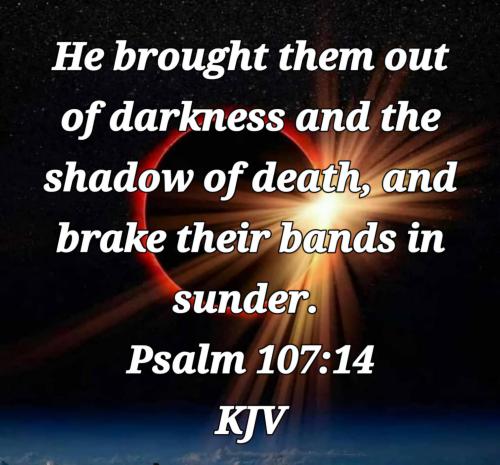 6069e32c-6b55-4a03-a670-e19bd73f127d