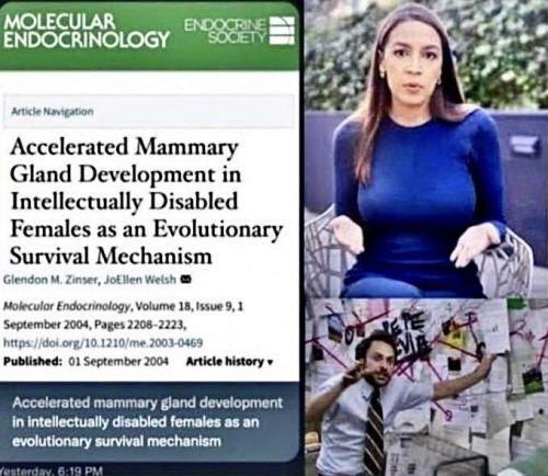 image_3686ADA9-6F59-44CF-A153-E8BBAF04A1AD