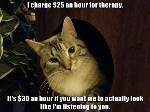 b8027190c73dda20d564711afcfbc4ec